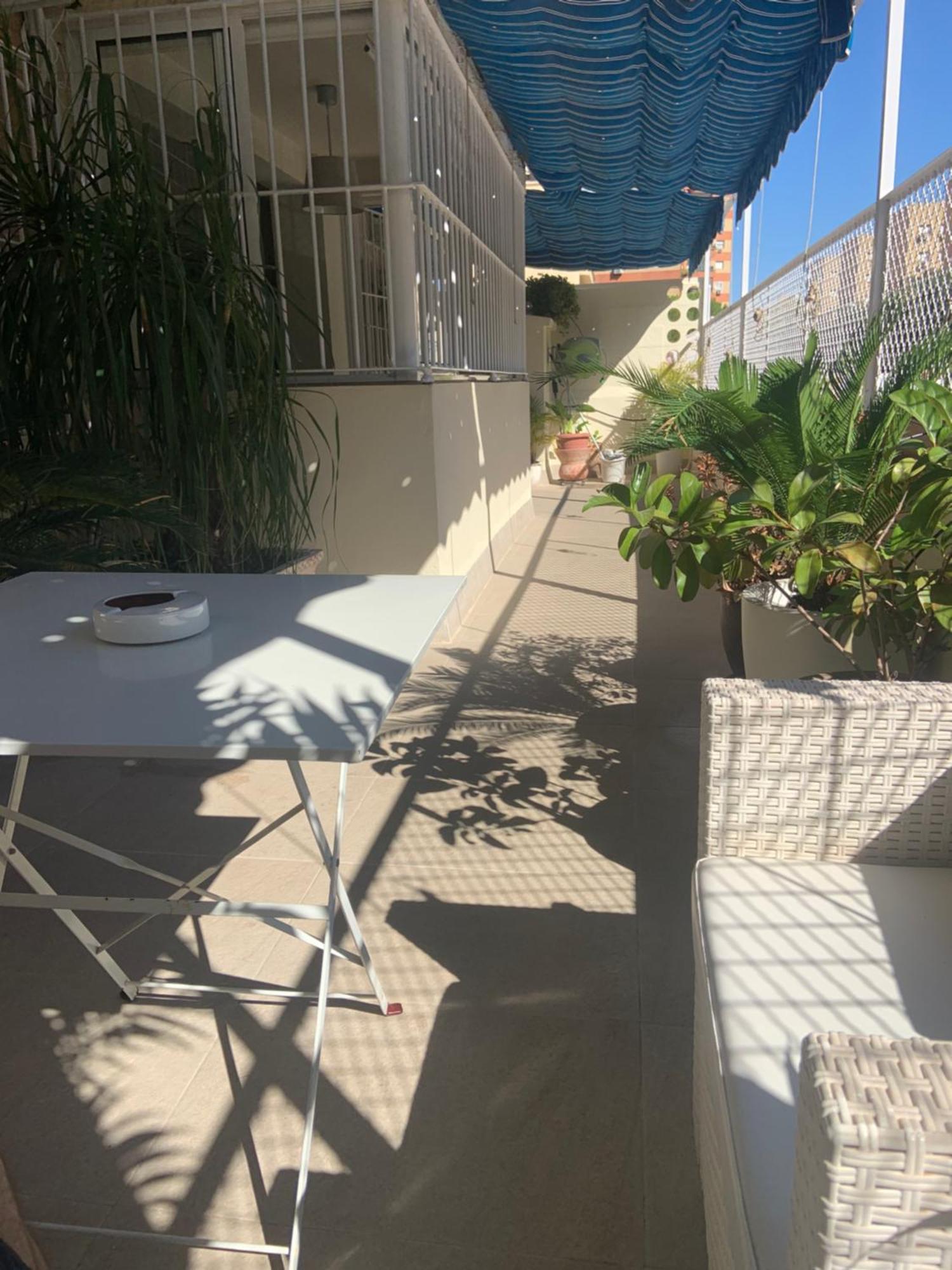 Apartamento Jardin Cerca Del Centro Séville Extérieur photo