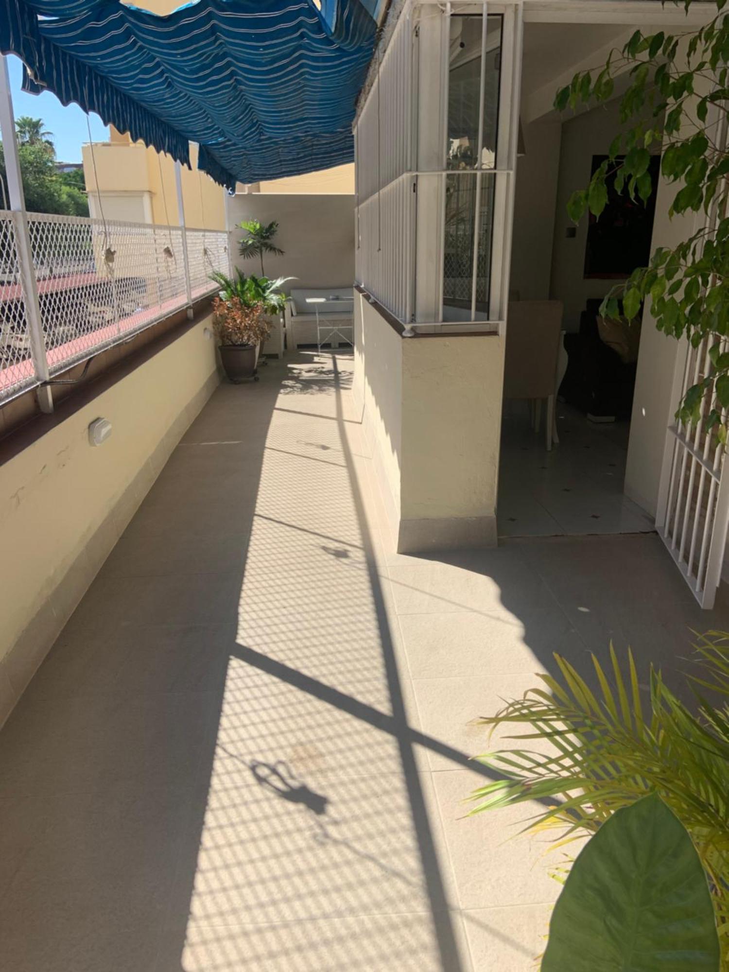 Apartamento Jardin Cerca Del Centro Séville Extérieur photo